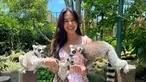 Aurelie Moeremans memang sangat menyukai dengan binatang. Seperti saat ia berkunjung di Bali Zoo. Ia tak ragu untuk bercengkerama dengan hewan asli Masdagaskar, Lemur ekor cincin. (Liputan6.com/IG/@aurelie)
