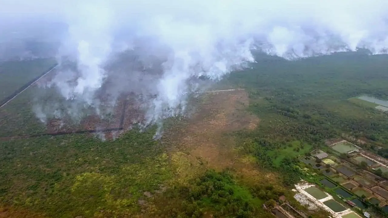 Kebakaran Hutan
