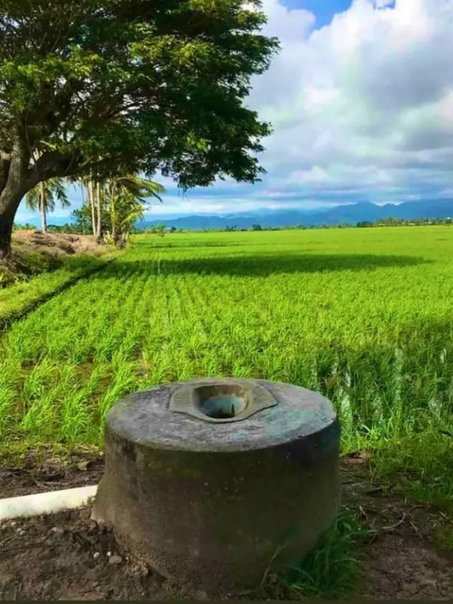 6 Potret Toilet Terletak di Lokasi Tak Biasa, Bikin Mikir Dua Kali