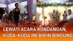 Kuda-kuda lewati jalan saat ada resepsi pernikahan mengundang perhatian.