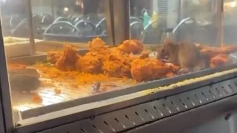 Tikus pesta ayam goreng di sebuah kedai. (Foto: Tangkapan Layar Twitter)