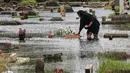 Seorang wanita mengunjungi makam anggota keluarganya di Tempat Pemakaman Umum (TPU) Semper, Cilincing, Jakarta Utara pada 15 Februari 2026. Meski terkendala genangan air, tradisi ziarah dan bersih makam menjelang Ramadan di Tempat Pemakaman Umum Semper, Cilincing, Jakarta Utara, tetap berlangsung khidmat. (Syinatria RESPATI/AFP)