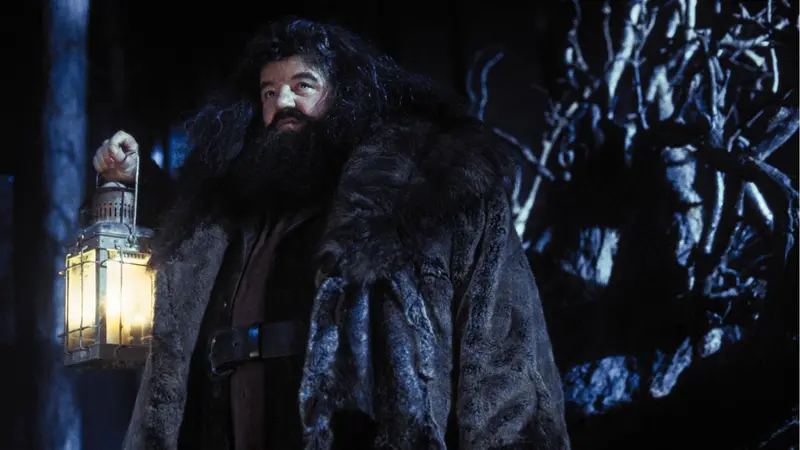 Pemeran Hagrid di seri fim Harry Potter, Robbie Coltrane  (Foto: IMDb)