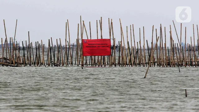 Awalnya Sah, Ini Penampakan Pagar Laut Bekasi yang Kini Disegel Dirjen PSDKP KKP