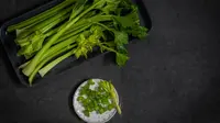 12 Jenis Sayur yang Laku Dijual dari Kebun Hidroponik Rumahan, Peluang Cuan