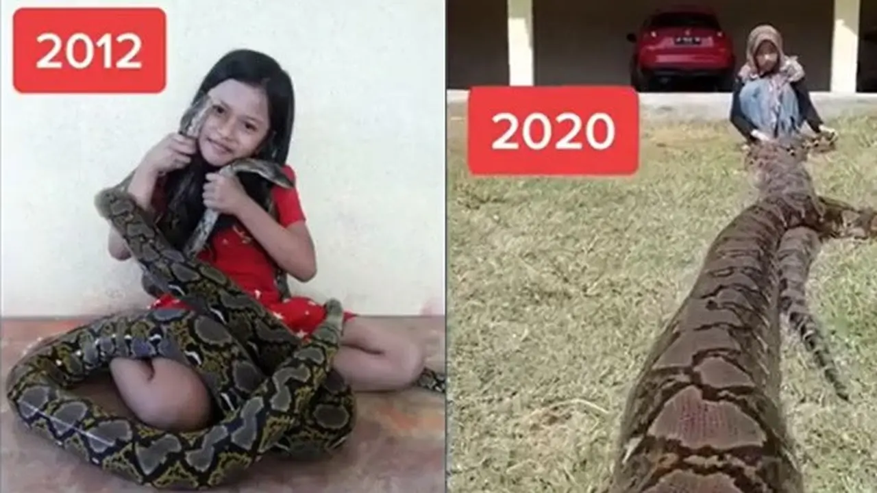 6 Potret Persahabatan Wanita dengan Ular Piton Selama 10 Tahun, Bikin Melongo