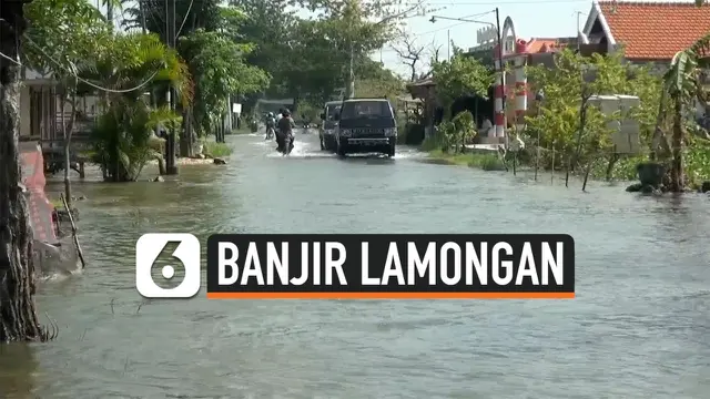 VIDEO: Banjir di Lamongan Rendam Ribuan Rumah Warga