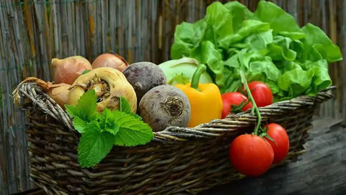 copyright unsplash.com/congerdesign