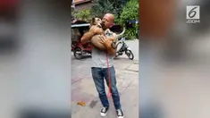 Seorang aktivis hewan bernama Michael Chor menyelamatkan nyawa seekor anjing bernama Noun. Ia menebus Noun dari rumah jagal dan membawanya pulang untuk diadopsi.