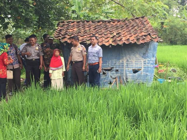 Derita Nenek Sebatang Kara Hidup Di Gubuk Tengah Sawah Regional Liputan6 Com