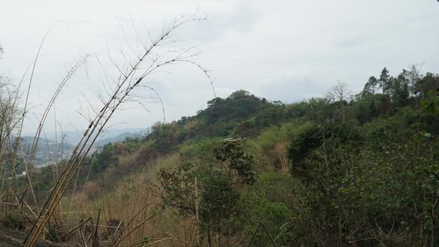 Kampung Adat Cireundeu