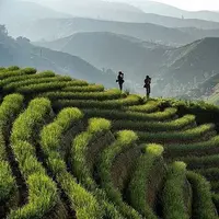 Terasering Panyaweuyan, Argapura, Majalengka, Jawa Barat. (holid.aljaber/Instagram)