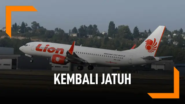 VIDEO: Kembali Jatuh, Ini Harga Pesawat Boeing 737 Max 8