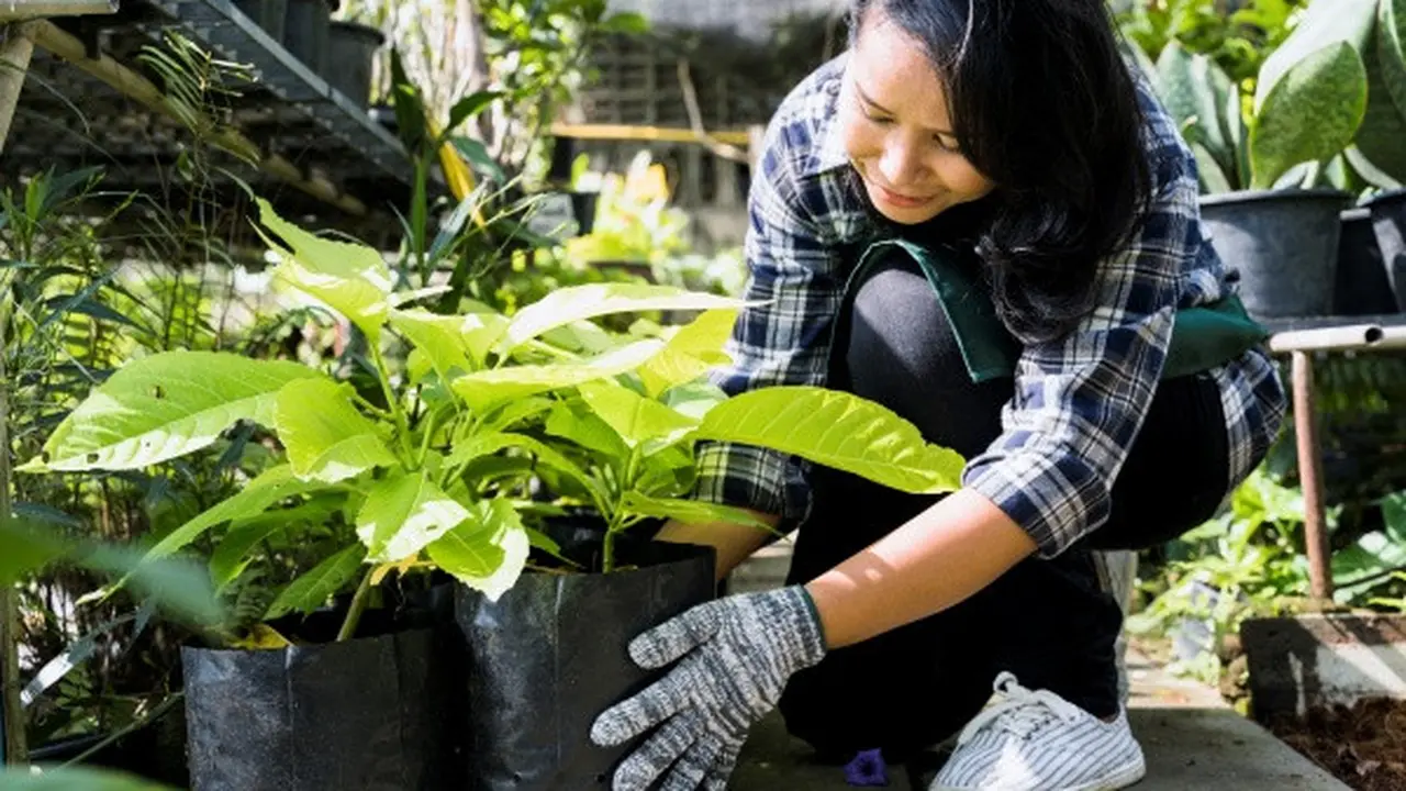Ilustrasi Berkebun (Credit: Freepik)