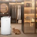 Tips Memilih Dehumidifier untuk Cegah Jamur, Bau Apek, dan Udara Lembap yang Ganggu Kesehatan