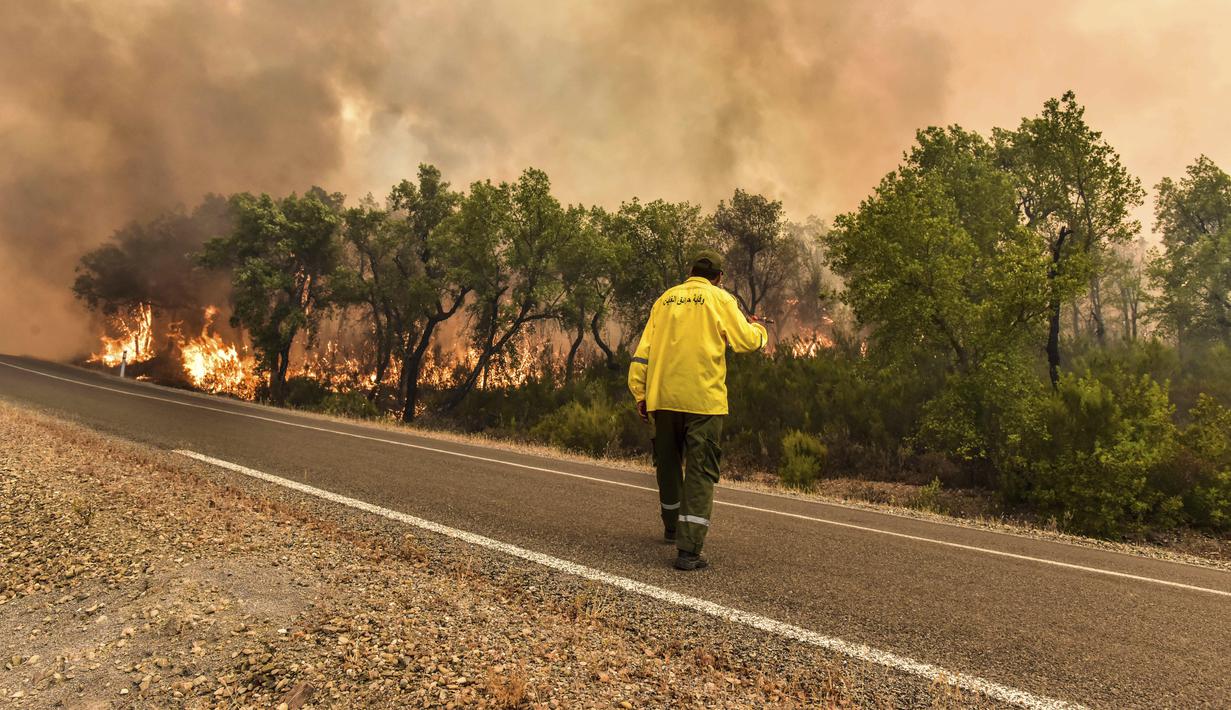 <p>Seorang petugas pemadam kebakaran berusaha memadamkan kebakaran hutan yang disebabkan suhu ekstrem di Larache, Maroko utara, Jumat (15/7/2022). Petugas pemadam kebakaran dan militer berjuang untuk menahan beberapa kebakaran hutan di Maroko utara, ketika ratusan warga mengungsi dari rumah mereka karena kobaran api yang melanda petak besar hutan pinus. (AP Photo)</p>