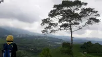 Kebun Teh Bukit Kemuning menawarkan pemandangan indah dengan udara yang sejuk (Liputan6.com / Nefri Inge)