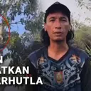 Orang Utan Menyelamatkan Diri dari Karhutla