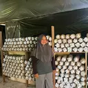 Dari Jamur Tak Terjual Jadi Cuan, Kisah Ibu Astuti Bangun Usaha hingga Pimpin Bank Sampah