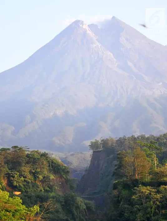 Pemandangan saat Gunung Merapi mengeluarkan asap terlihat dari Kaliadem, Sleman, DIY, Minggu (24/2). Secara visual, asal solfatara warna putih, intensitas tipis, sedang hingga tebal dengan ketinggian 150 meter di atas puncak. (Liputan6.com/Gholib)
