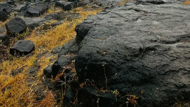 Saputara