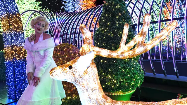 20161118-Lampu Natal Rekor Dunia-AFP PHOTO