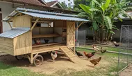 Kandang Ayam Permanen vs Bongkar Pasang, Mana yang Lebih Hemat?