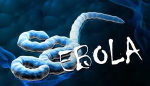 Ilustrasi Virus Ebola (Liputan6.com/Sangaji)