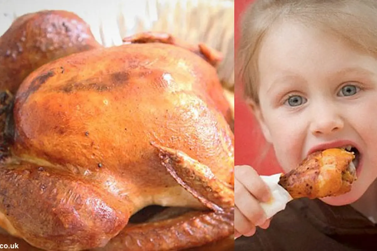 anak-makan-ayam130628b.jpg
