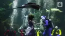 Para penampil beratraksi di dalam akuarium Sea World Ancol, Jakarta, Rabu (18/1/2023). Pertunjukan barongsai bawah air tersebut merupakan rangkaian Ancol Lunar Fest 2023 dalam rangka menyambut Tahun Baru Imlek 2574 Kongzili. (Liputan6.com/Herman Zakharia)