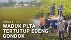 Dampak musim kemarau tidak cuma menyebabkan kekeringan, tapi juga memicu hama eceng gondok yang semakin memenuhi waduk PLTA Saguling.