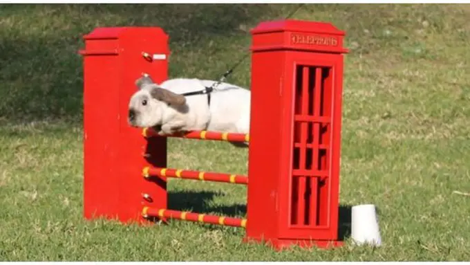 Foto: copyright whenonearth.net