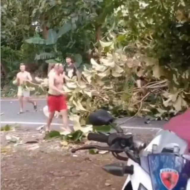 Viral Video Turis Asing Ramai-ramai Pindahkan Pohon Tumbang di Bali