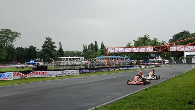 Eshark Rok Cup