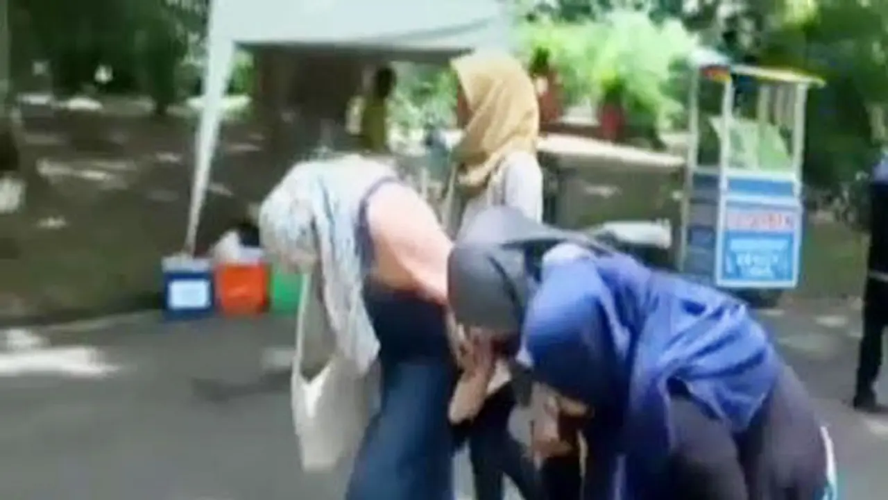 Serangan Tawon di Kebun Raya Bogor