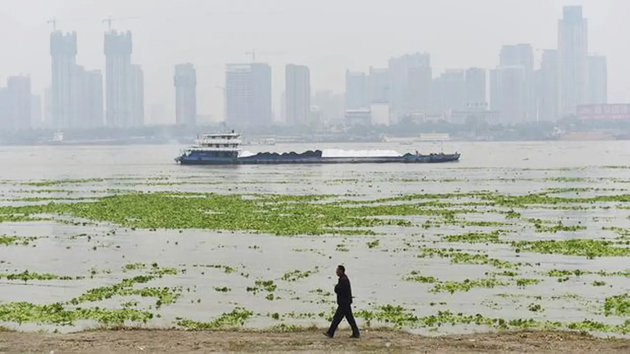 Sungai Yangtze