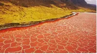 Danau Natron di Afrika Bisa Bikin Hewan Mengeras Seperti Batu. (dok.Instagram @marvelous_travellers/https://www.instagram.com/p/CGMlrZxJEiY/Henry)