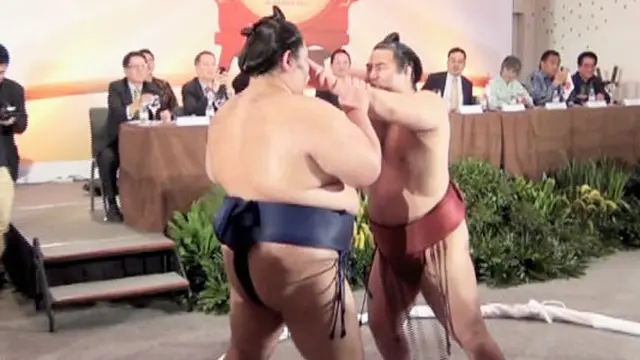 Kejuaraan Sumo Bertaraf Internasional Akan Digelar di Indonesia