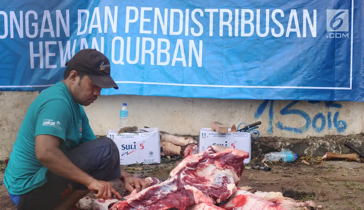Petugas memotong daging kurban di Lapangan Masjid Al Azhar, Jakarta, Jumat (1/9). Masjid Al Azhar Jakarta memotong dan mendistribusikan ratusan hewan kurban pada Hari Raya Idul Adha 1438 H. (Liputan6.com/Helmi Fithriansyah) 
