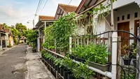 7 Ide Kebun Sayur Vertikal di Pagar Sempit yang Tetap Produktif Sepanjang Musim