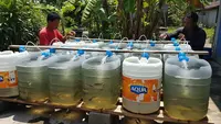 7 Ide Ternak Lele dari Barang Bekas di Rumah, Solusi Praktis Panen Ikan di Lahan Sempit