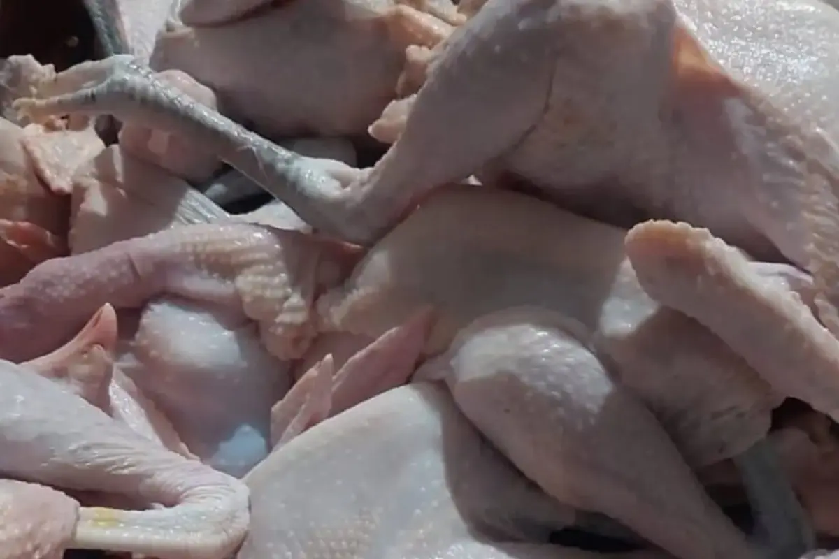Cara Memasak Ayam Kampung Agar Empuk Tanpa Presto, Hanya Butuh Bahan Dapur Ini