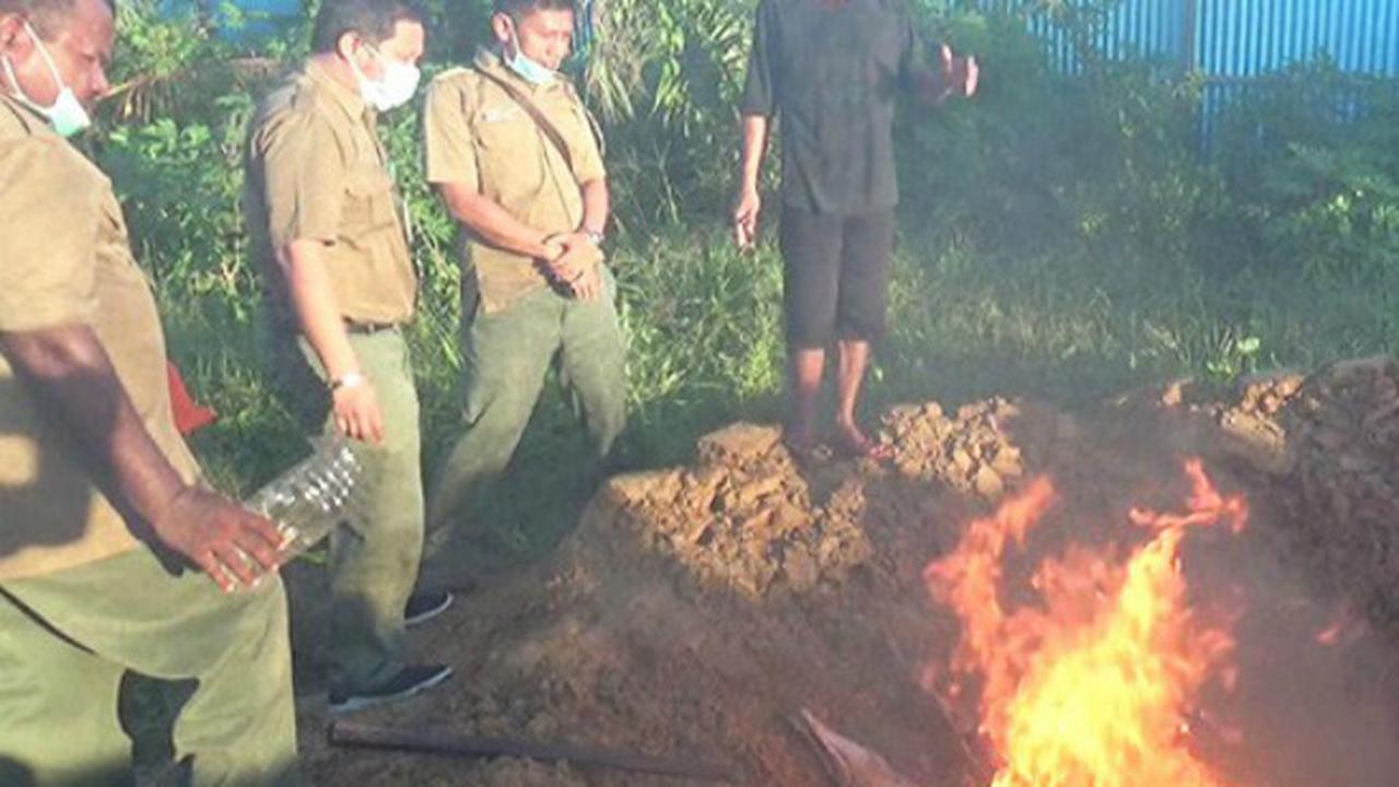 Buaya yang Dibantai Warga di Sorong Akhirnya Dimusnahkan