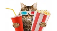 Setelah kafe kucing, kini akan dibangun bioskop kucing.