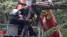Polisi menyeret aktivis lingkungan dari sebuah rumah pohon di hutan Hambacher Forst di Kerpen, Jerman Barat (13/9). Aktivis yang tinggal di rumah pohon tersebut menghadapi penggusuran paksa oleh polisi. (Henning Kaiser/dpa/AFP)