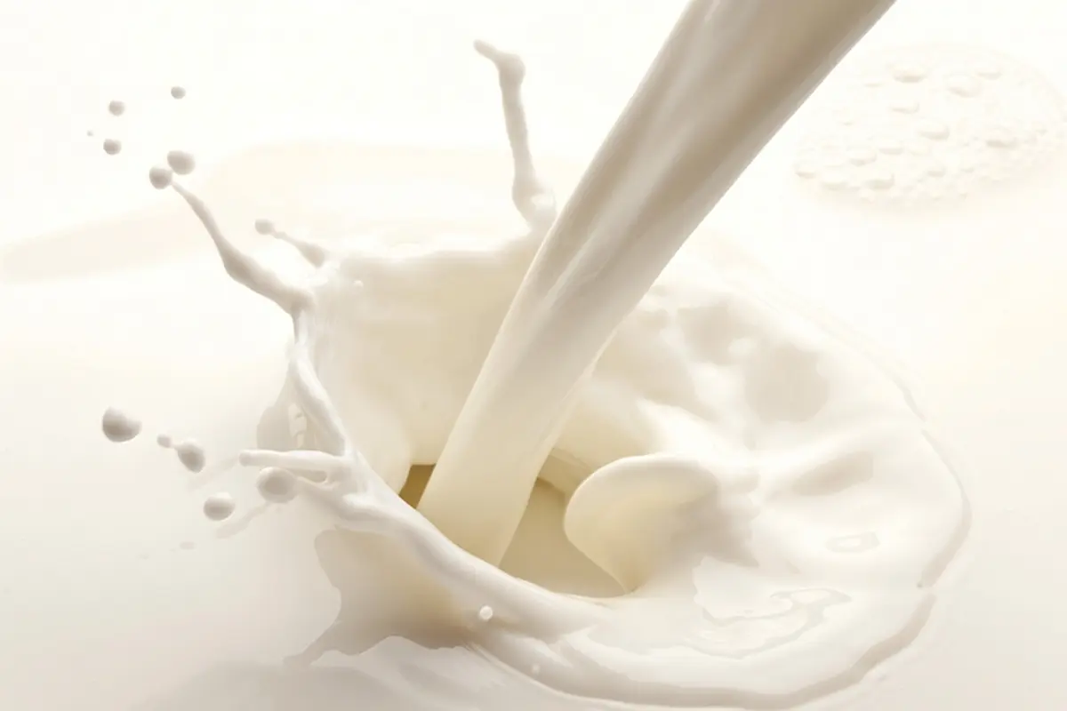Tak Cuma untuk Tulang, Minum Susu pun Baik untuk Otak