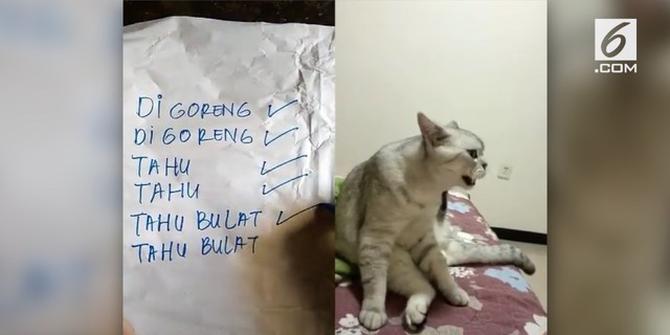 VIDEO: Kucing Ini Tiru Suara Penjual Tahu Bulat