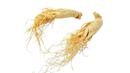Orang China percaya, ginseng berkhasiat menambah kekebalan tubuh, meningkatkan gairah seksual, fungsi otak, menambah energi, vitalitas, dan stamina. (Istimewa)