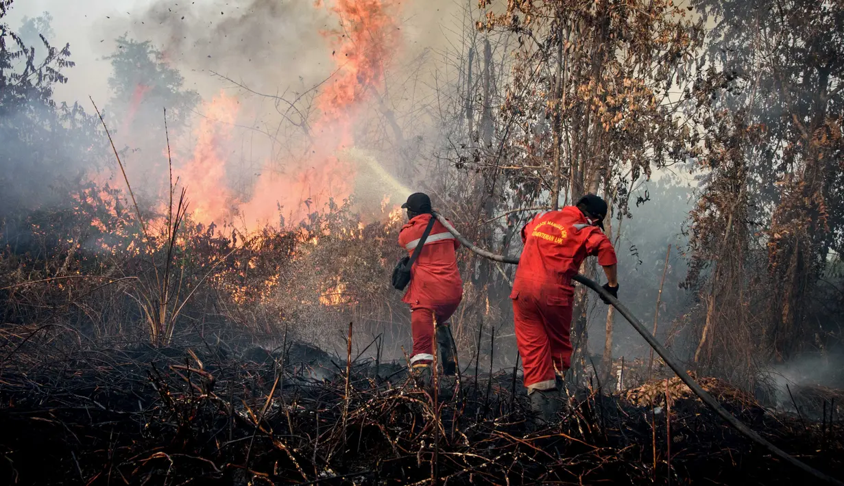 Petugas pemadam kebakaran berusaha memadamkan api yang membakar lahan gambut di Rimbo Panjang, Riau pada 20 Juli 2025. (Wahyudi/AFP)