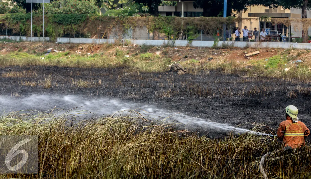 Petugas pemadam kebakaran melakukan pemadaman lahan yang terbakar di kawasan Lingkar Mega Kuningan, Jakarta, Minggu (13/9/2015). Diduga kebakaran lahan kosong tersebut puntung rokok yang dibuang sembarangan. (Liputan6.com/Faizal Fanani) 